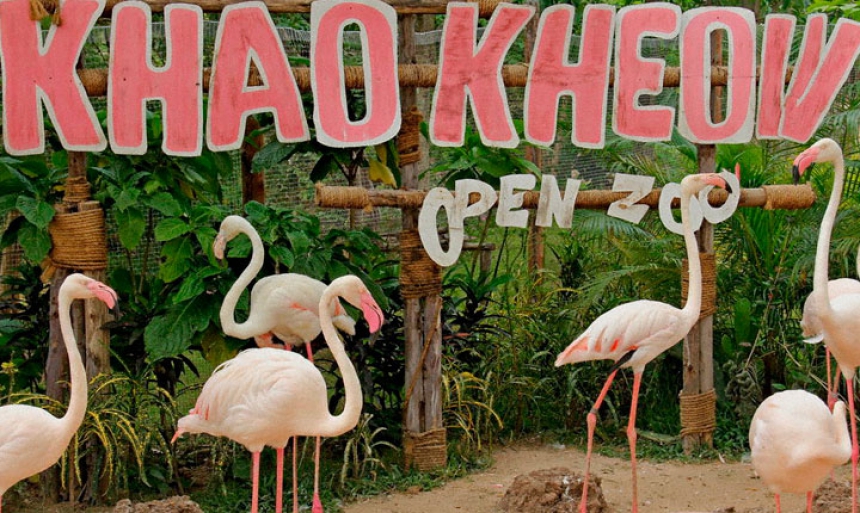Экскурсия  Зоопарк Кхао Кхео и змеиное шоу*, с русским гидом