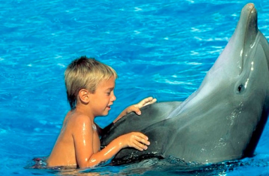 Дельфинарий,  плавание с дельфинами +45 мин.