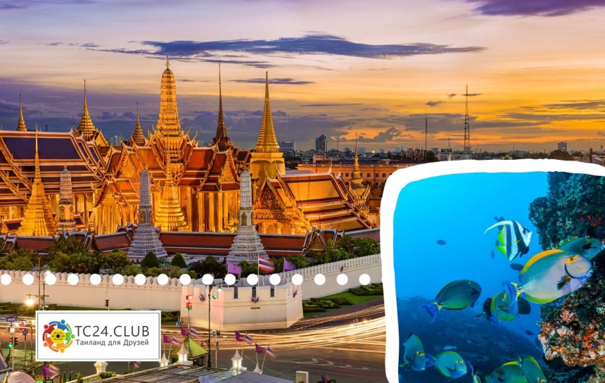 Travel to Bangkok + Oceanarium