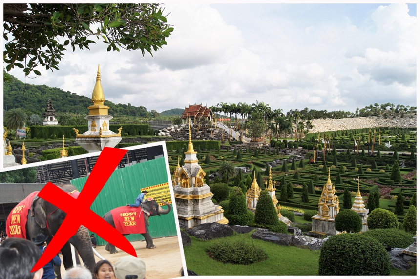 Nong Nooch without two shows