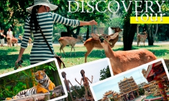 Read more Discovery tour 8in1 per day
