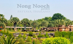 Read more Nong Nooch Tropical Garden day