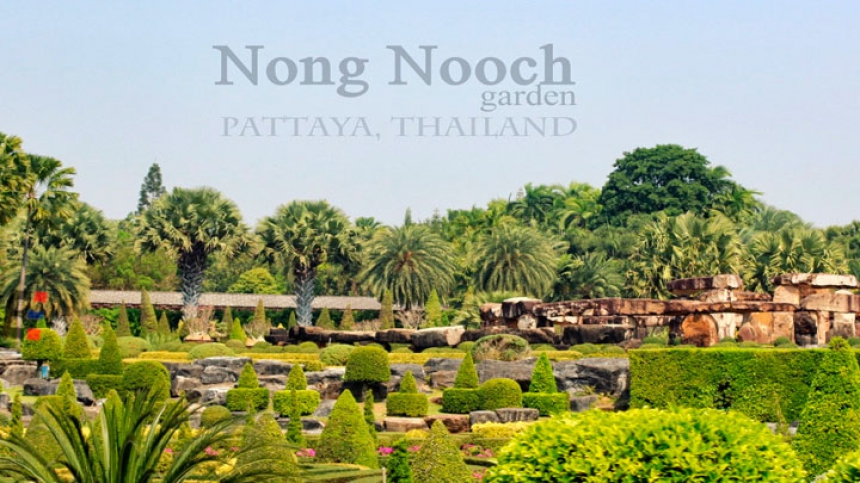 Нонг Нуч дневной тропический сад с шоу