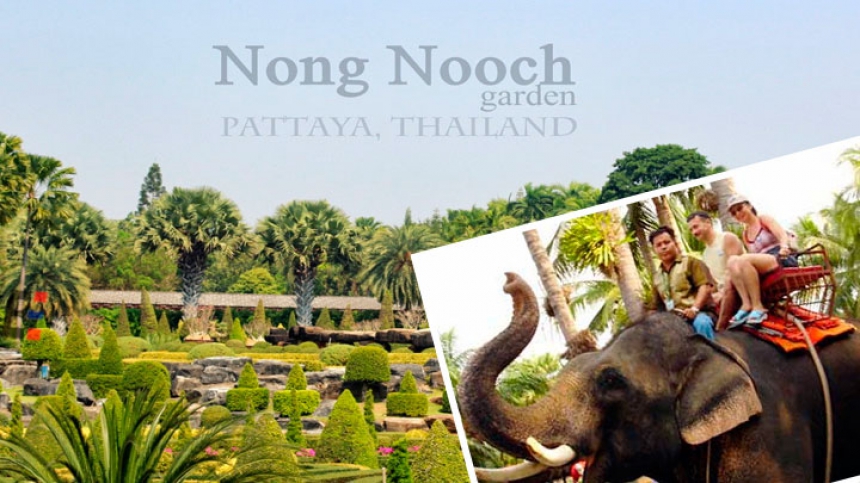  Evening Nong Nooch dinner Pattaya Park