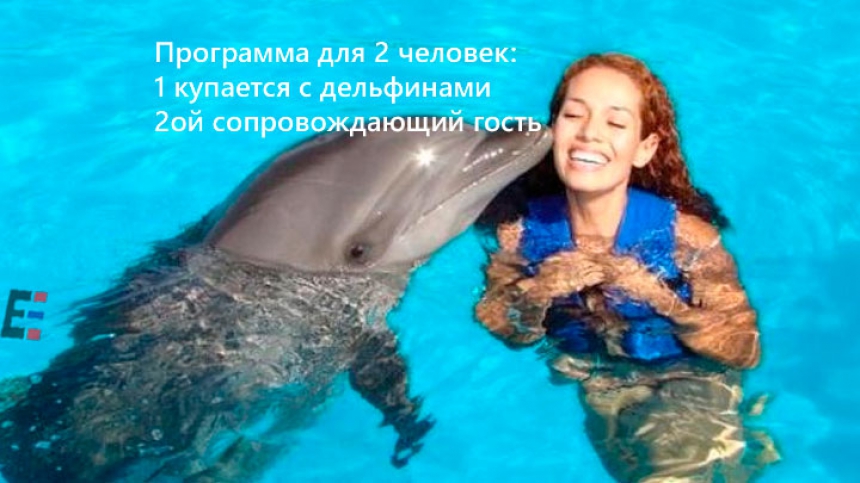 Дельфины плавание+1 гость 9.45 11.45 13.45 15.45