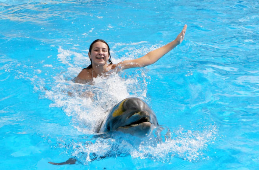 Экскурсия  Дельфины плавание в новом дельфинариуме в Паттайе