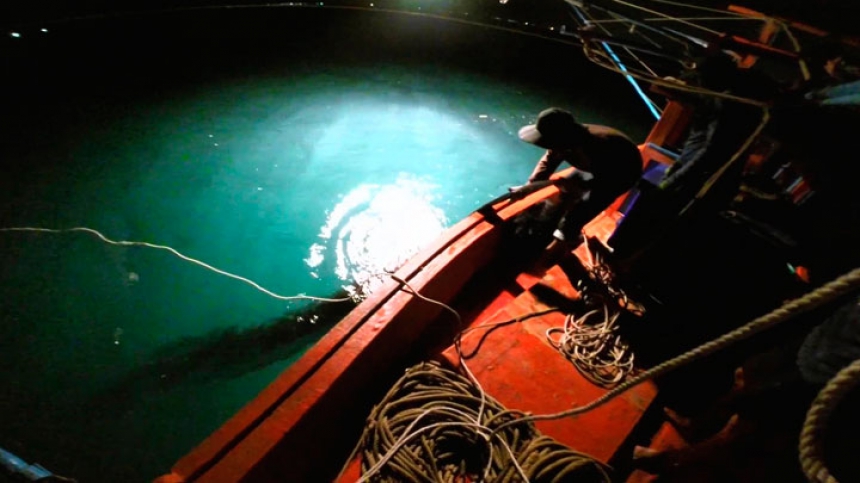 Экскурсия  Ночная рыбалка на кальмара в открытом море