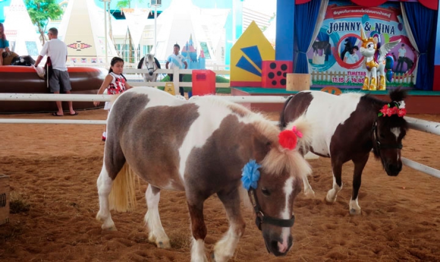 Экскурсия  Пипо Пони Клуб - ферма карликовых пони