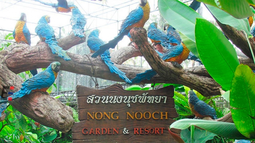 Экскурсия  Нонг Нуч дневной тропический сад с шоу