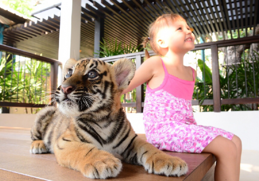 Экскурсия  Нонг Нуч и Тигровый парк